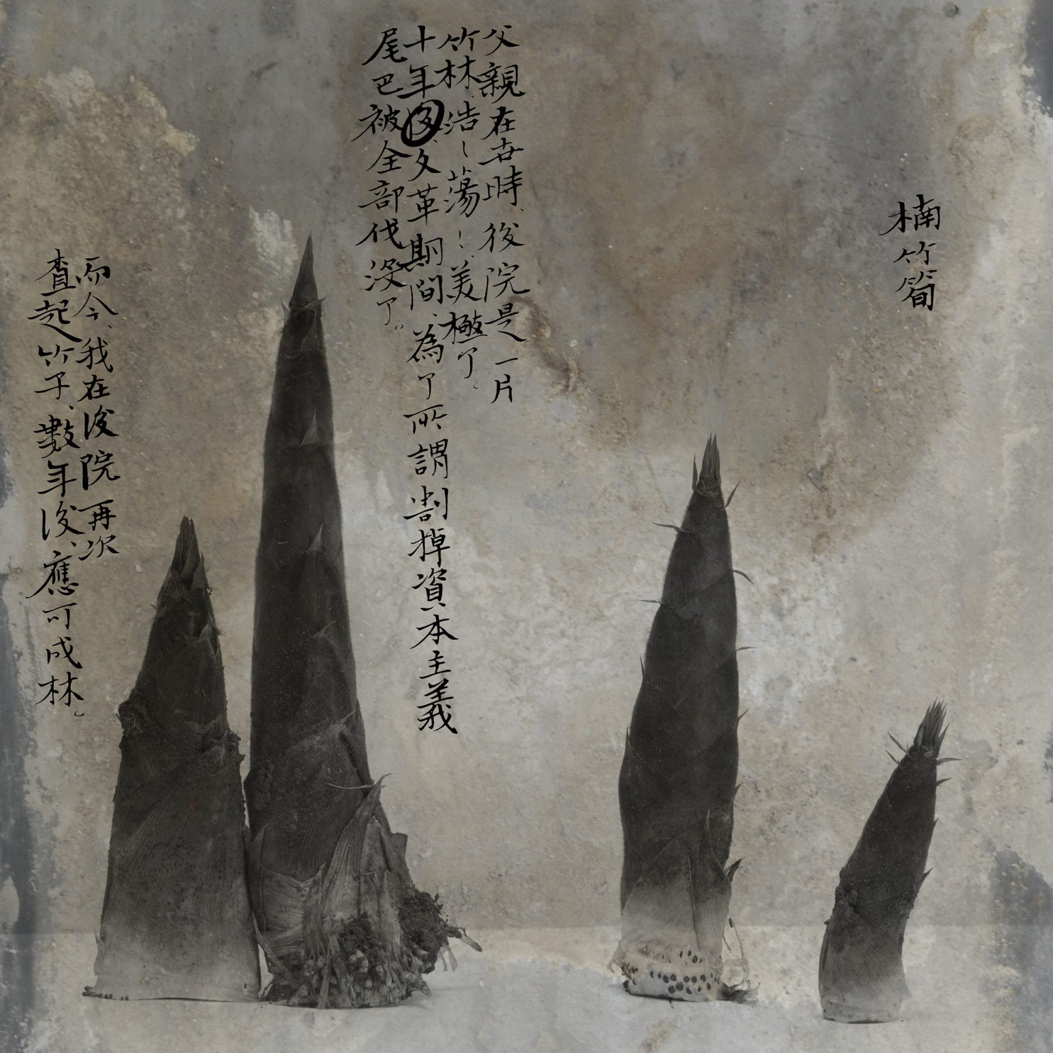 Mengxi 2 (Limited Edition, Signed Copy) - Image 3