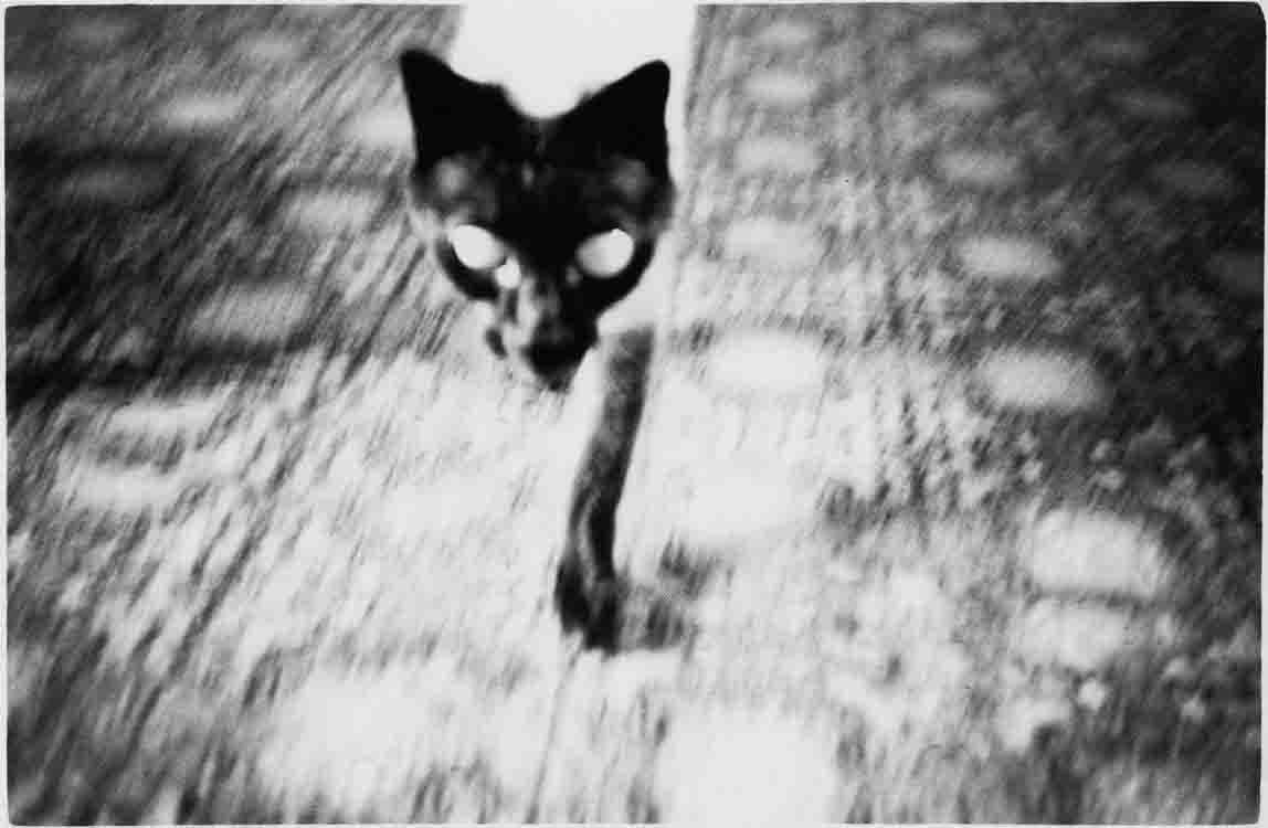 Dead Light - Image 6