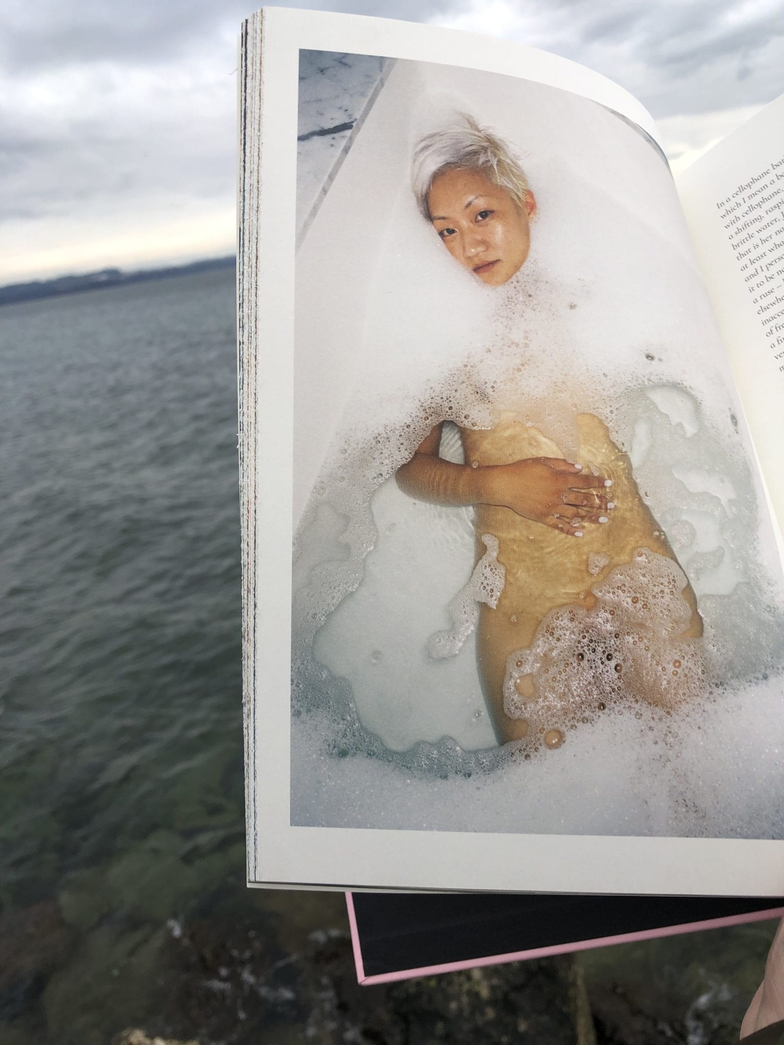 Sour Strawberries N°15 (signed C Print) - Image 13