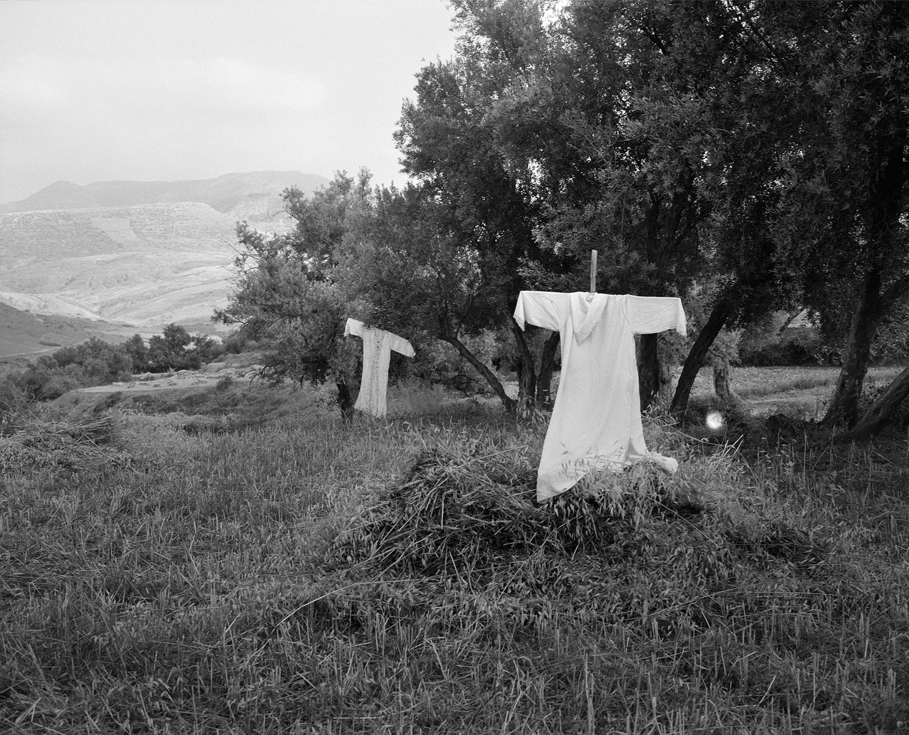 Delta (Limited Edition 500+ signed C Print) - Image 11