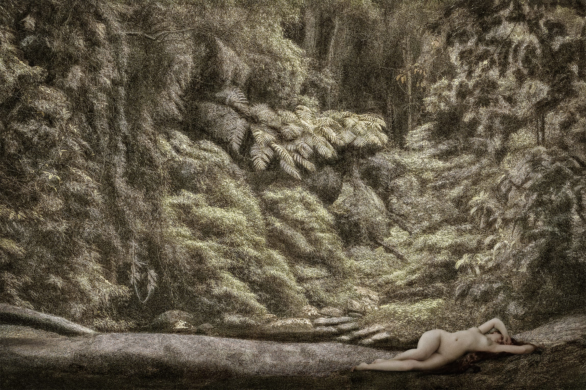 Dryads and Fauns (Limited Edition 250 Copies + signed C print) - Image 2