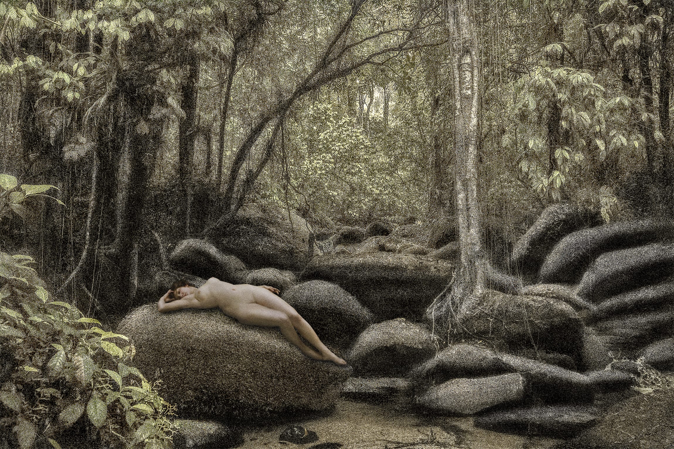 Dryads and Fauns (Limited Edition 250 Copies + signed C print) - Image 3
