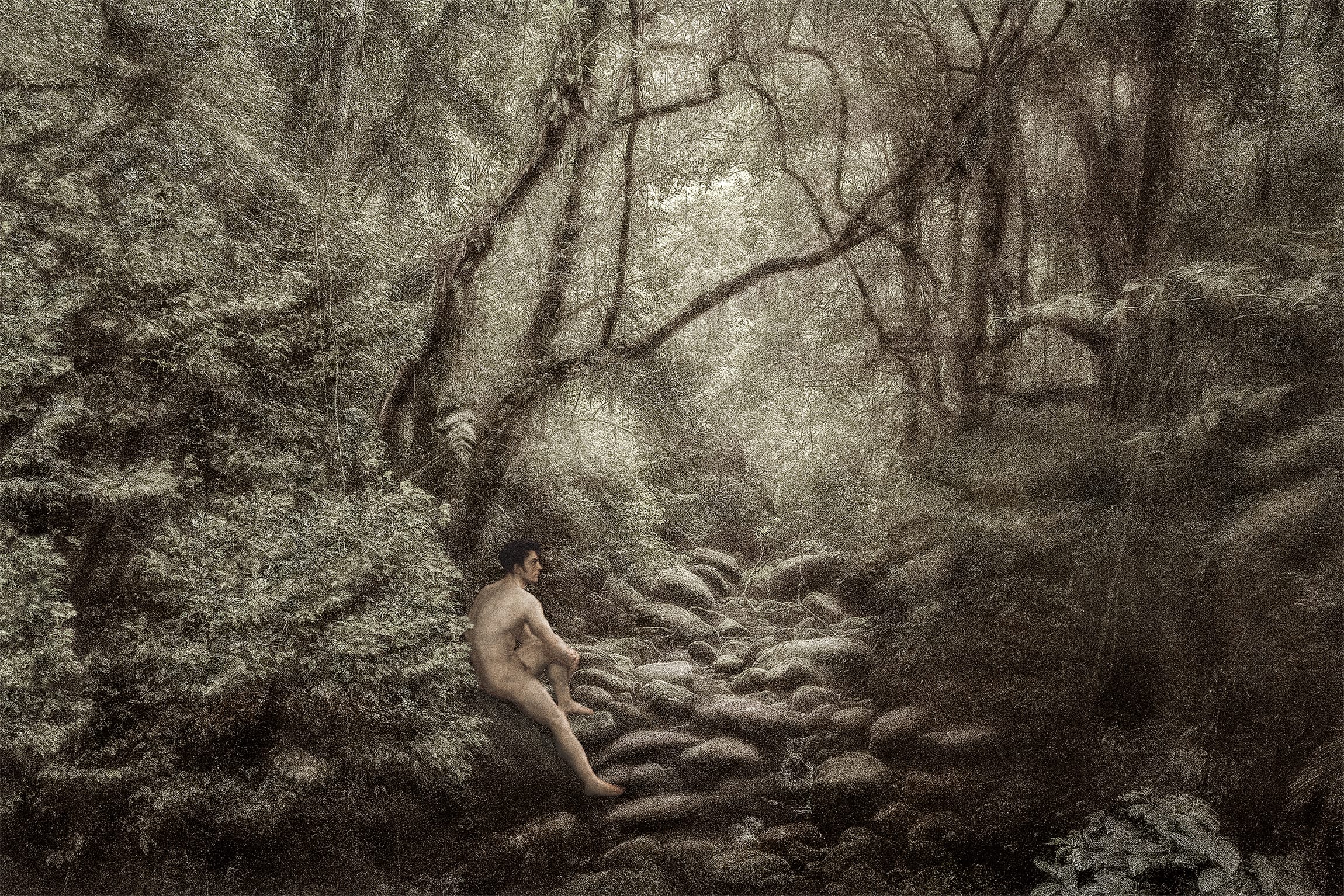 Dryads and Fauns (Limited Edition 250 Copies + signed C print) - Image 6