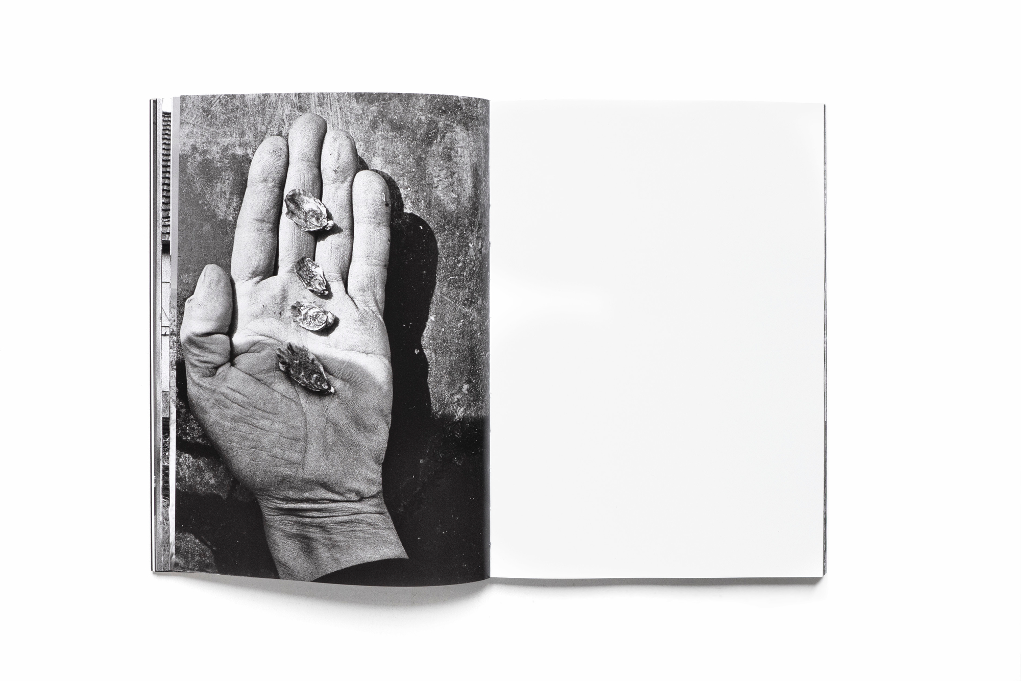 En Presence de l'Absence -Signed Copy- - Image 11