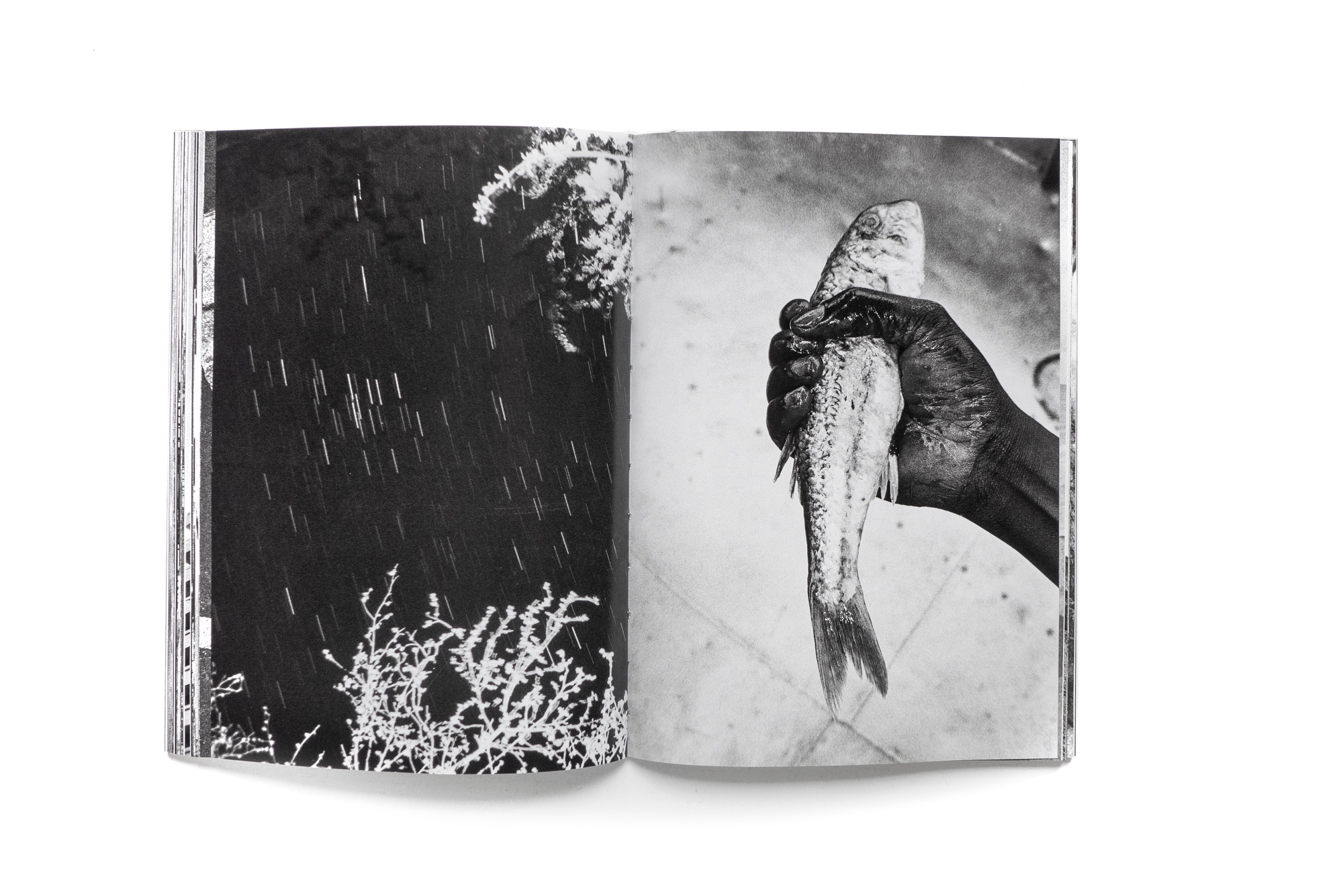 En Presence de l'Absence -Signed Copy- - Image 8