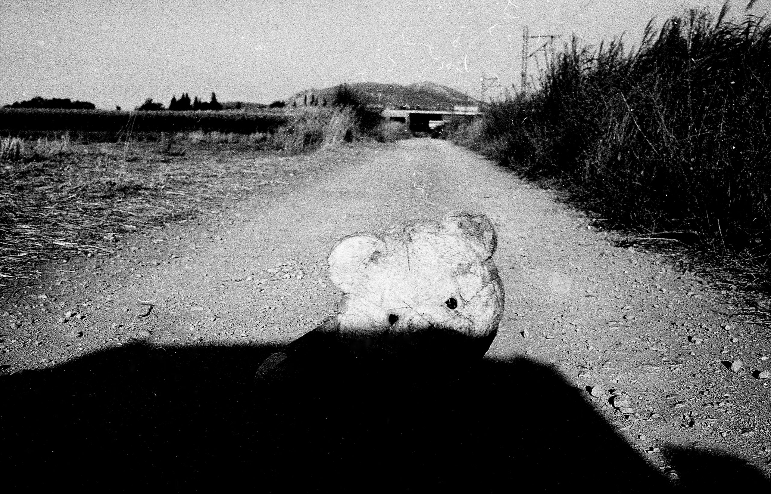 Paths Through Marshland - Image 2